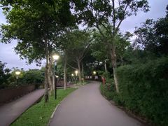 -立新湖公园