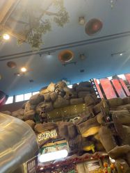 -卡通尼·Safari非洲探索乐园·生日会(金桥国际商业广场店)