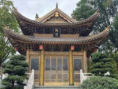 -上海东林寺(金山区)