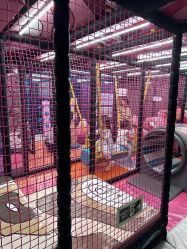 -MELAND CLUB亲子乐园·派对·餐厅(北京芳圆里ID MALL店)