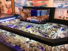 -蟹道乐(道顿堀本店)