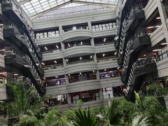 -黑龙江中医药大学附属第一医院