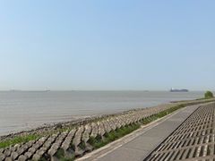 -上海滨江森林公园