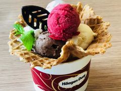 -哈根达斯(石家庄北国店)