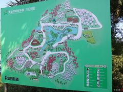 景点-天适樱花悠乐园