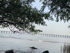 -宝安西湾红树林湿地公园