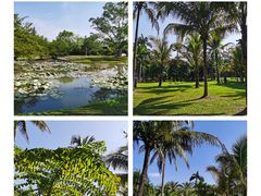 -中国科学院西双版纳热带植物园