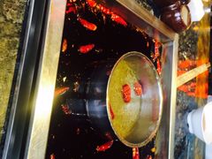 李雪火锅食府(总店)-李雪火锅食府(宽窄巷子总店)