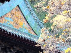 -报恩寺(平武县)