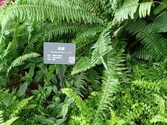 -北京植物园-展览温室