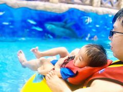 -青岛东方影都融创水世界