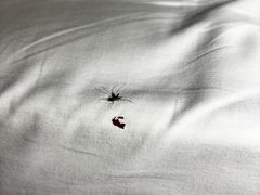 -维也纳酒店(深圳大学城店)