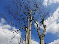 -白鹭湾湿地公园