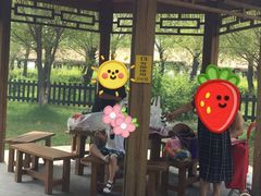 -呼兰河口湿地公园