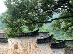 -杨家堂村