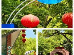 -上海共青森林公园