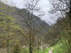 -西岭雪山大飞水景区