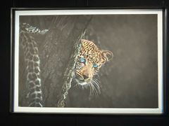 -罗红摄影艺术馆