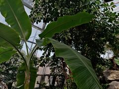 -北京植物园-展览温室