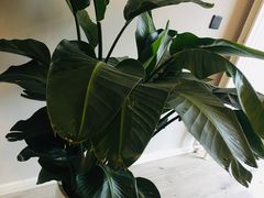 -方恒购物中心(望京小街店)
