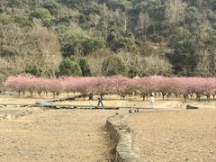 -雁荡山风景名胜区
