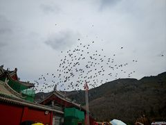 -五台山风景名胜区