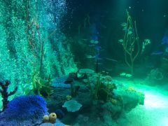 -沈阳海洋探索中心