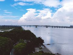 -大湾区中央湿地公园