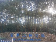 -宝界山林公园