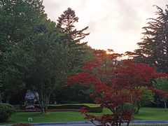 -棒棰岛宾馆景区
