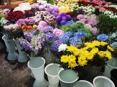 -双季花艺园艺市场(浦东店)