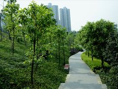 -龙头寺公园