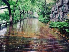 -天目湖山水园