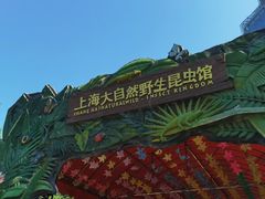 -上海大自然野生昆虫馆(东方明珠·爬宠昆虫探索中心)