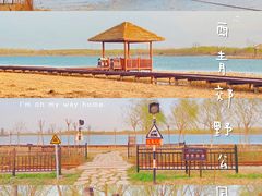-西青郊野公园