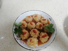 -田螺阿姨自营月嫂·育儿嫂(高新店)