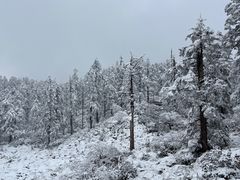 -瓦屋山景区