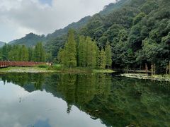 -广州市石门国家森林公园