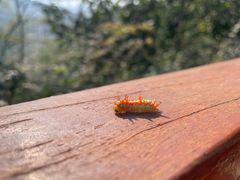 -崂山九水游览区