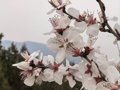 -白水寺森林公园