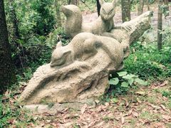 iphone_upload_pic-狐尾山公园