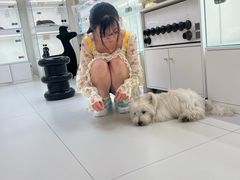 -上海电影博物馆