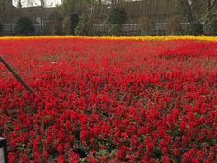 -上海市龙华烈士陵园