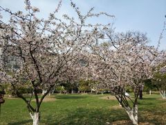 -江南大学(蠡湖校区)
