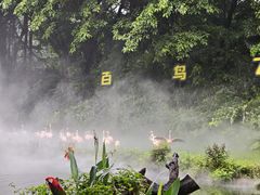-广州长隆飞鸟乐园