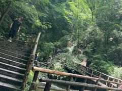 -牛背梁国家森林公园