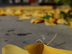 -迎泽公园