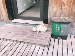 -古韵餐厅(湖畔大学店)