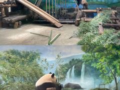 -杭州动物园
