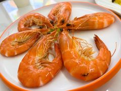 -同心源啤酒屋·青岛菜·海鲜加工